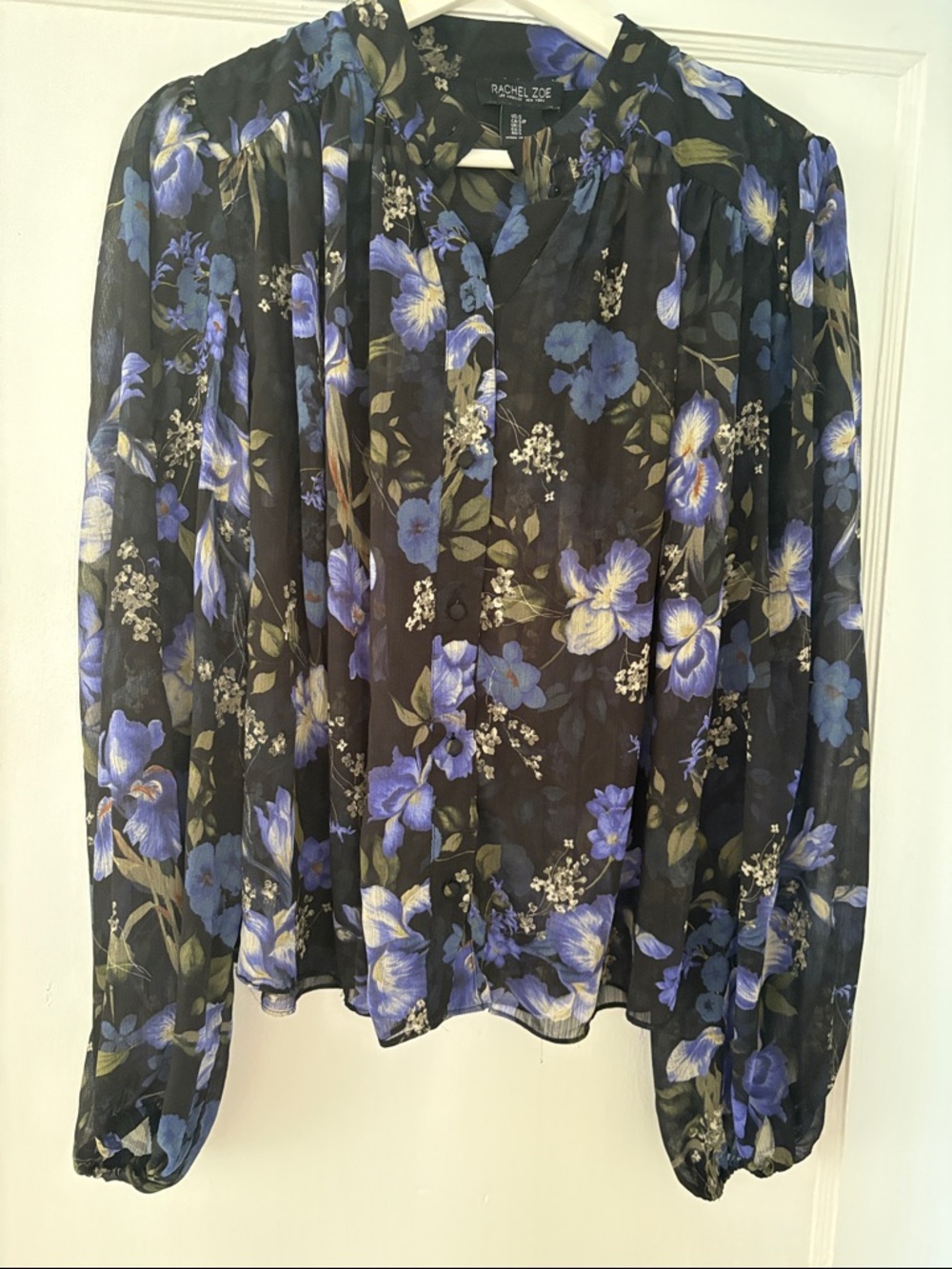 Rachel Zoe Black Floral Sheer Long-Sleeve Blouse - Blue Floral